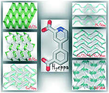Graphical abstract: Exploring 4-(3-carboxyphenyl)picolinic acid as a semirigid building block for the hydrothermal self-assembly of diverse metal–organic and supramolecular networks