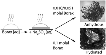 Graphical abstract: Effect of borax on the wetting properties and crystallization behavior of sodium sulfate