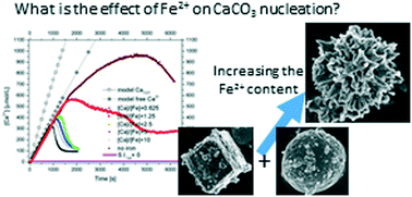 Graphical abstract: Effect of ferrous iron on the nucleation and growth of CaCO3 in slightly basic aqueous solutions