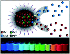 Graphical abstract: Full-spectra hyperfluorescence cesium lead halide perovskite nanocrystals obtained by efficient halogen anion exchange using zinc halogenide salts