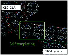 Graphical abstract: Self-templating accelerates precipitation of carbamazepine dihydrate during the dissolution of a soluble carbamazepine cocrystal