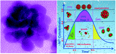 Graphical abstract: Synergy of facet control and surface metalloid modification on hierarchical Pt–Ni nanoroses toward high electrocatalytic activity
