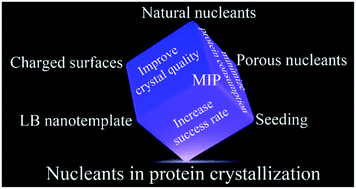 Graphical abstract: A review on recent advances for nucleants and nucleation in protein crystallization