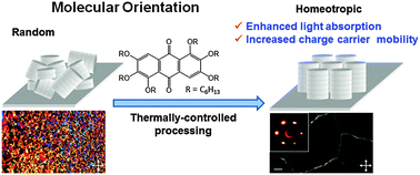 Graphical abstract: Electron transporting organic materials with an exceptional large scale homeotropic molecular orientation