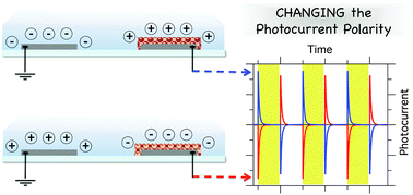 Graphical abstract: Factors affecting the polarity and magnitude of photoresponse of transient photodetectors