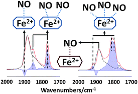 Graphical abstract: Characterization of Fe2+ ions in Fe,H/SSZ-13 zeolites: FTIR spectroscopy of CO and NO probe molecules