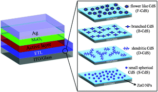 Graphical abstract: 3-Dimensional ZnO/CdS nanocomposite with high mobility as an efficient electron transport layer for inverted polymer solar cells