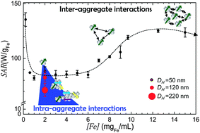 Graphical abstract: Effects of inter- and intra-aggregate magnetic dipolar interactions on the magnetic heating efficiency of iron oxide nanoparticles