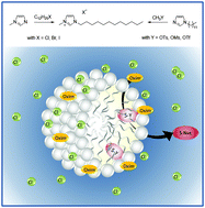 Graphical abstract: Surface-active ionic liquids in micellar catalysis: impact of anion selection on reaction rates in nucleophilic substitutions