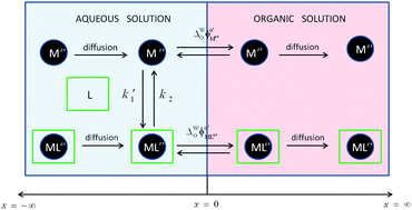 Graphical abstract: Transfer of complexed and dissociated ionic species at soft interfaces: a voltammetric study of chemical kinetic and diffusional effects