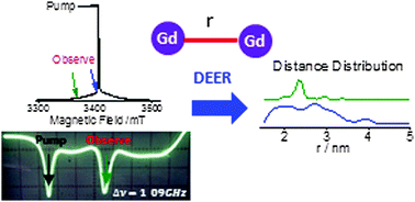 Graphical abstract: Overcoming artificial broadening in Gd3+–Gd3+ distance distributions arising from dipolar pseudo-secular terms in DEER experiments
