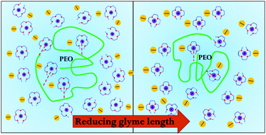 Graphical abstract: Structural effect of glyme–Li+ salt solvate ionic liquids on the conformation of poly(ethylene oxide)
