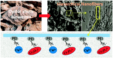 Graphical abstract: Functionalized calcium silicate nanofibers with hierarchical structure derived from oyster shells and their application in heavy metal ions removal