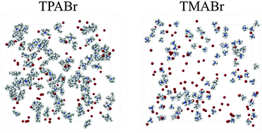 Graphical abstract: A neutron scattering and modelling study of aqueous solutions of tetramethylammonium and tetrapropylammonium bromide