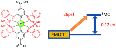 Graphical abstract: A new record excited state 3MLCT lifetime for metalorganic iron(ii) complexes
