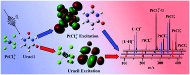 Graphical abstract: UV laser photoactivation of hexachloroplatinate bound to individual nucleobases in vacuo as molecular level probes of a model photopharmaceutical