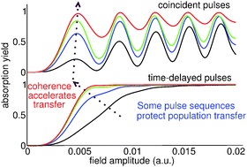 Graphical abstract: Protecting and accelerating adiabatic passage with time-delayed pulse sequences