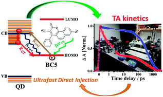 Graphical abstract: Femtosecond insights into direct electron injection in dye anchored ZnO QDs following charge transfer excitation