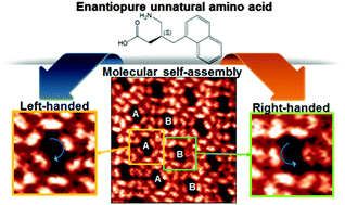 Graphical abstract: The formation of right-handed and left-handed chiral nanopores within a single domain during amino acid self-assembly on Au(111)