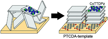 Graphical abstract: Highly-oriented molecular arrangements and enhanced magnetic interactions in thin films of CoTTDPz using PTCDA templates