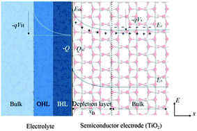 Graphical abstract: Correlation of the depletion layer with the Helmholtz layer in the anatase TiO2–H2O interface via molecular dynamics simulations
