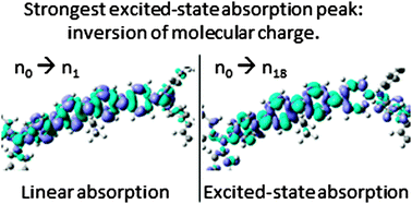 Graphical abstract: Self-trapping and excited state absorption in fluorene homo-polymer and copolymers with benzothiadiazole and tri-phenylamine