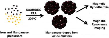 Graphical abstract: Manganese doped-iron oxide nanoparticle clusters and their potential as agents for magnetic resonance imaging and hyperthermia
