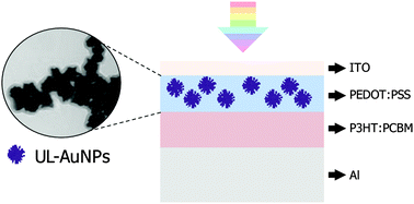 Graphical abstract: Effect of urchin-like gold nanoparticles in organic thin-film solar cells