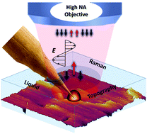 Graphical abstract: Tip enhanced Raman spectroscopy imaging of opaque samples in organic liquid