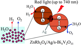 Graphical abstract: A heterojunction photocatalyst composed of zinc rhodium oxide, single crystal-derived bismuth vanadium oxide, and silver for overall pure-water splitting under visible light up to 740 nm