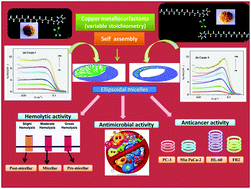 Graphical abstract: Hybrid surfactants decorated with copper ions: aggregation behavior, antimicrobial activity and anti-proliferative effect