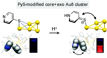 Graphical abstract: Facile modulation of optical properties of octagold clusters through the control of ligand-mediated interactions