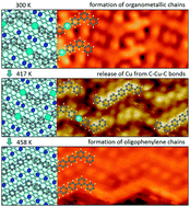 Graphical abstract: The role of the substrate structure in the on-surface synthesis of organometallic and covalent oligophenylene chains