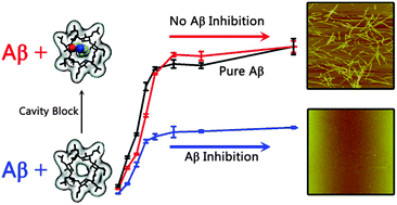 Graphical abstract: HP-β-cyclodextrin as an inhibitor of amyloid-β aggregation and toxicity