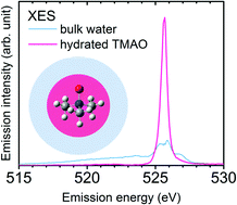 Graphical abstract: Hydration structure of trimethylamine N-oxide in aqueous solutions revealed by soft X-ray emission spectroscopy and chemometric analysis