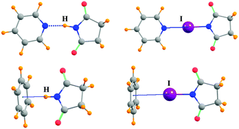 Graphical abstract: NX⋯Y halogen bonds. Comparison with NH⋯Y H-bonds and CX⋯Y halogen bonds