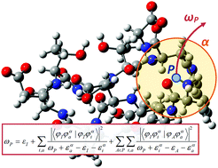 Graphical abstract: The divide-and-conquer second-order proton propagator method based on nuclear orbital plus molecular orbital theory for the efficient computation of proton binding energies
