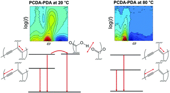 Graphical abstract: Electronic relaxation dynamics of PCDA-PDA studied by transient absorption spectroscopy