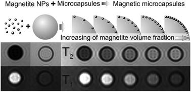 Graphical abstract: In vitro and in vivo MRI visualization of nanocomposite biodegradable microcapsules with tunable contrast