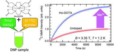 Graphical abstract: Impact of Ho3+-doping on 13C dynamic nuclear polarization using trityl OX063 free radical