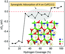 Graphical abstract: CoP for hydrogen evolution: implications from hydrogen adsorption