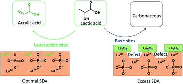 Graphical abstract: Dehydration of lactic acid to acrylic acid over lanthanum phosphate catalysts: the role of Lewis acid sites