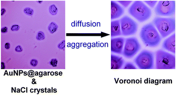 Graphical abstract: Self-assembly of like-charged nanoparticles into Voronoi diagrams
