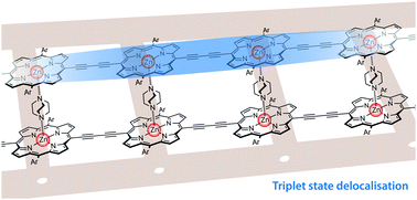 Graphical abstract: Photogenerated triplet states in supramolecular porphyrin ladder assemblies: an EPR study