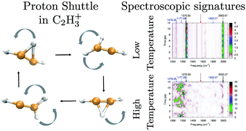 Graphical abstract: A Grotthuss-like proton shuttle in the anomalous C2H3+ carbocation: energetic and vibrational properties for isotopologues