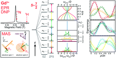 Graphical abstract: Theory of solid effect and cross effect dynamic nuclear polarization with half-integer high-spin metal polarizing agents in rotating solids