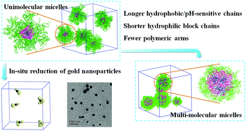 Graphical abstract: Systematic design and application of unimolecular star-like block copolymer micelles: a coarse-grained simulation study