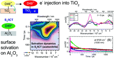 Graphical abstract: Excited-state relaxation of the solar cell dye D49 in organic solvents and on mesoporous Al2O3 and TiO2 thin films
