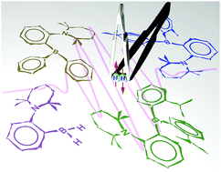 Graphical abstract: Nuclear spin hyperpolarization with ansa-aminoboranes: a metal-free perspective for parahydrogen-induced polarization