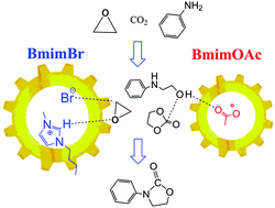 Graphical abstract: Reaction mechanisms of carbon dioxide, ethylene oxide and amines catalyzed by ionic liquids BmimBr and BmimOAc: a DFT study